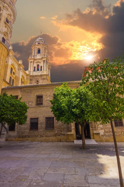 Cathédrale de l'Incarnation à Malaga, Espagne — Photo