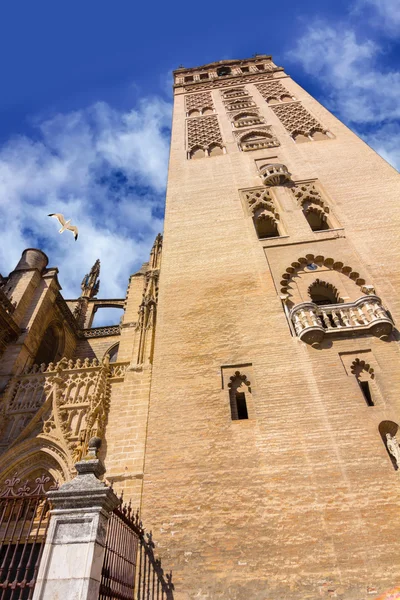 Sevilla, İspanya ünlü Giralda görünümünü — Stok fotoğraf