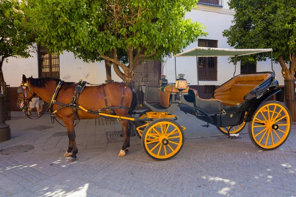 Piuttosto tipici cavalli andalusi con carrozze a Siviglia, Spai — Foto Stock