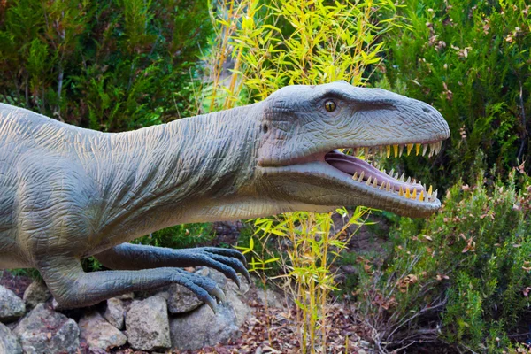 Fearsome carnivore dinosaur Tyrannosaurus Rex — Stock Photo, Image