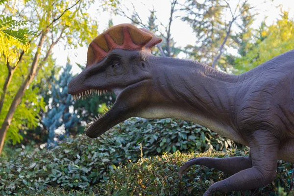 Dinosaur carnivore Coritusaurio — Stock Photo, Image