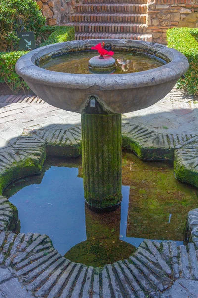 庭院和花园的著名宫殿的阿尔卡萨瓦米 — 图库照片