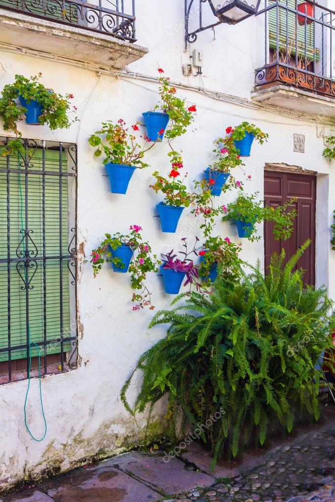 Typical French windows with grills and decorative flowers in the