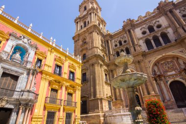 Katedral Meydanı ve piskoposluk Sarayı Malaga, İspanya