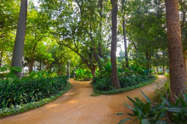 Parque de Malaga, Spa bahçeleri ile yürüyüş yolları