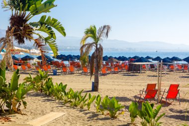 şezlong ve şemsiye yakın ünlü Plajı'na erişim