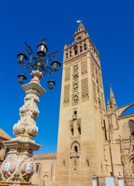 Sevilla, İspanya ünlü Giralda görünümünü