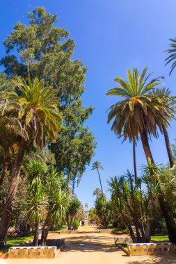 Catalina de Rivera bahçeleri şehrin Sevilla, İspanya