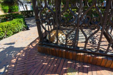 Dövme Demir Haç son derece Seville, İspanya bir parkta dekore edilmiş