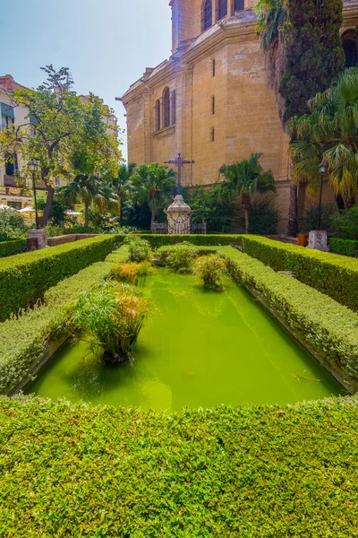 Giardini della Cattedrale di Malaga, Spagna — Foto Stock