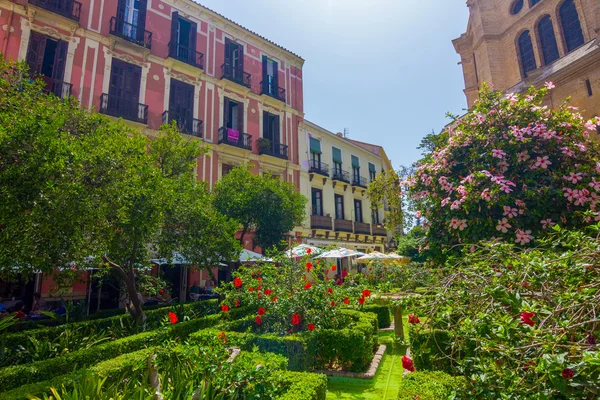 Tuinen van de kathedraal van Malaga, Spanje — Stockfoto