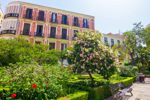 Bahçeleri katedralin Malaga, İspanya — Stok fotoğraf