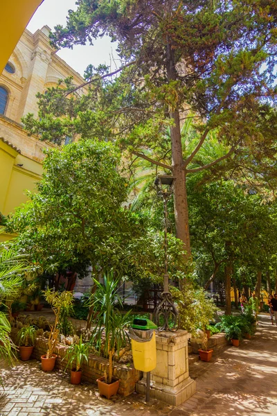 Trädgårdar i katedralen i Malaga, Spanien — Stockfoto