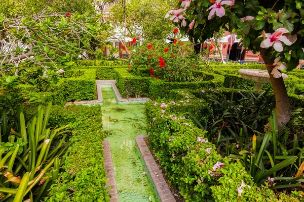 Сады собора Малаги, Испания — стоковое фото