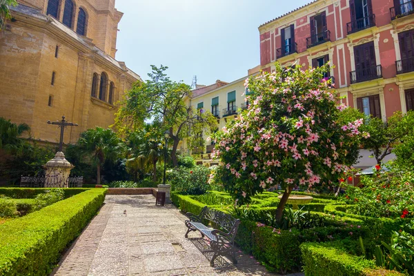 Κήπους, τον καθεδρικό ναό της Μάλαγα, Ισπανία — Φωτογραφία Αρχείου