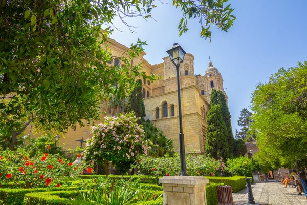 Tuinen van de kathedraal van Malaga, Spanje — Stockfoto