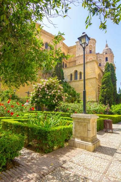 Gardens of the Cathedral of Malaga, Spain — Stock Photo, Image