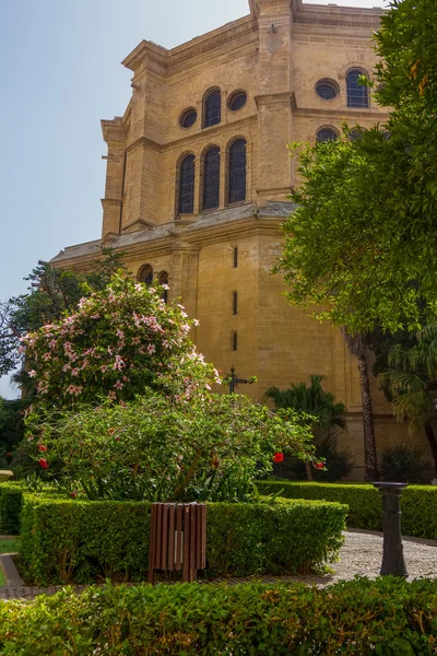 Ogrody katedry w Maladze, Hiszpania — Zdjęcie stockowe