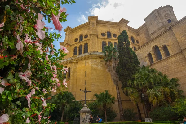 Bahçeleri katedralin Malaga, İspanya — Stok fotoğraf