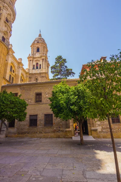 Katedralen i inkarnationen i Malaga, Spanien - Stock-foto