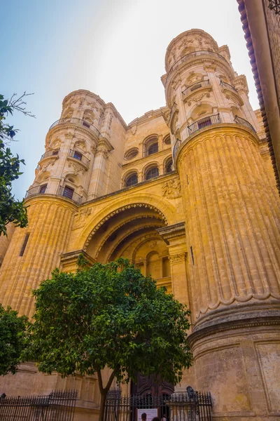 Katedralen i inkarnationen i Malaga, Spanien — Stockfoto