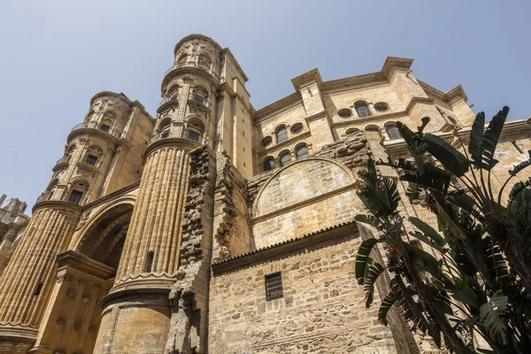Katedrála vtělení v Malaga, Španělsko — Stock fotografie