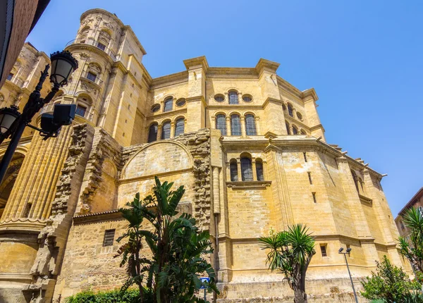 Cattedrale dell'Incarnazione a Malaga, Spagna — Foto Stock