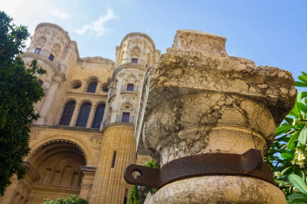 Vücut bulma Katedrali Malaga, İspanya — Stok fotoğraf