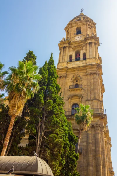 Çan kulesi ve vücut bulma katedral Malaga, İspanya — Stok fotoğraf