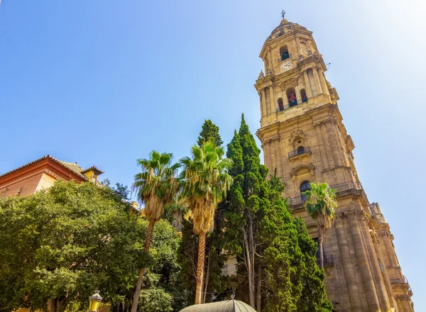 Çan kulesi ve vücut bulma katedral Malaga, İspanya — Stok fotoğraf