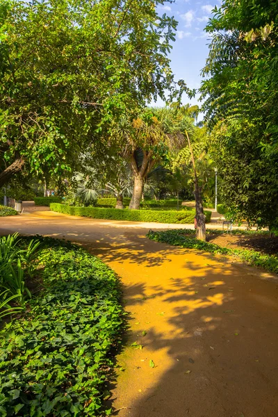 路径，漫步公园德马拉加，温泉花园 — 图库照片