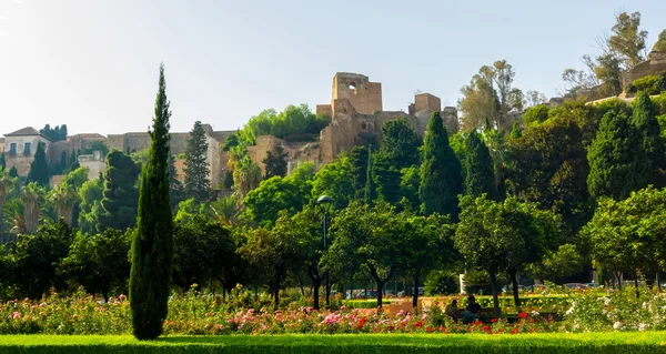 Piękny ogród o zmierzchu Park Malaga, Hiszpania — Zdjęcie stockowe