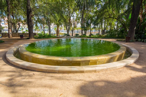 Small pond in the park of Malaga, Spain — Stock Photo, Image