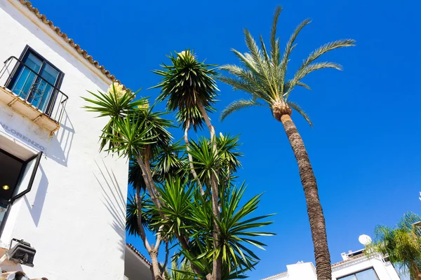 Pretty typical white houses Puerto Banus, Malaga spain — Stock Photo, Image