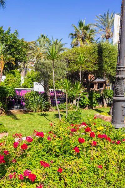 Beautiful and luxurious decorated streets of the town of Puerto — Stock Photo, Image