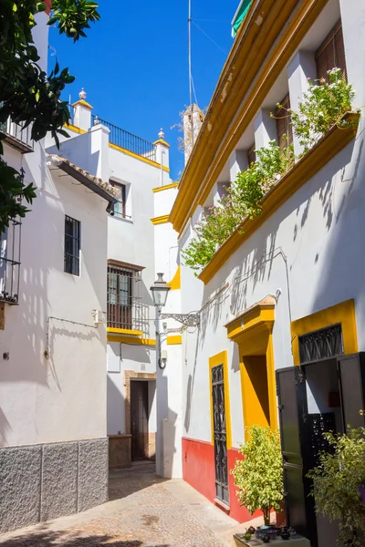 Belas ruas cheias de cor típica da cidade andaluza o — Fotografia de Stock