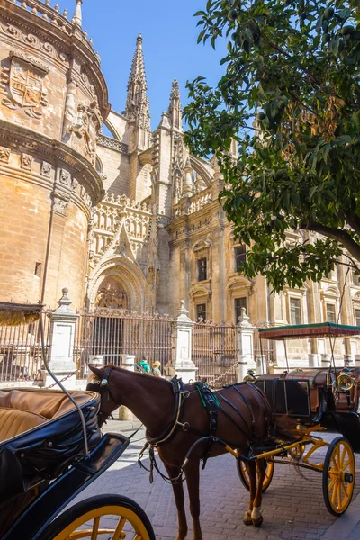 马车在塞维利亚，西班牙著名 Giralda 旁边的马 — 图库照片