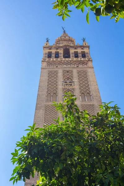 View of the famous Giralda in Seville, Spain — Stock Photo, Image