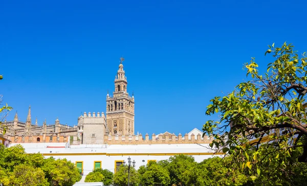 Pohled na slavné Giralda v Seville, Španělsko — Stock fotografie