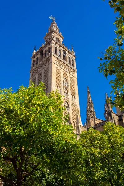 Utsikt över den berömda Giralda i Sevilla, Spanien — Stockfoto