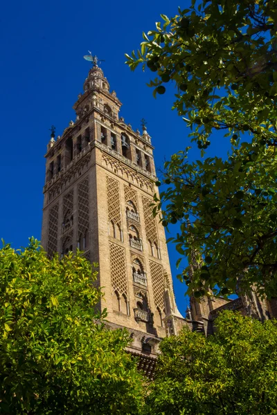 Widok na słynne Giralda w Sewilli, w Hiszpanii — Zdjęcie stockowe