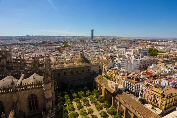 Cathedral of Santa Maria de Sevilla näkymä Giralda Sev — kuvapankkivalokuva