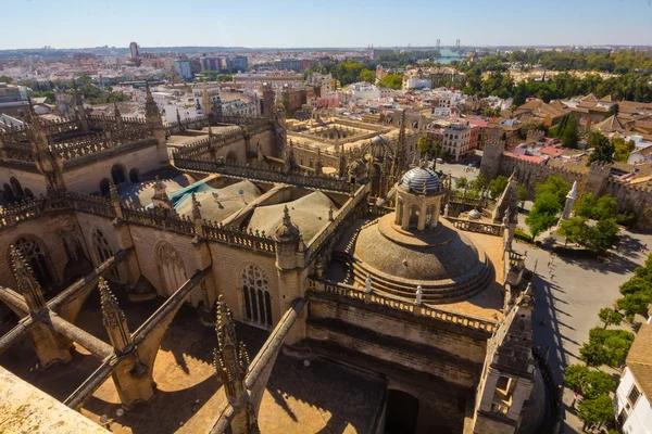 Cathedral of Santa Maria de Sevilla näkymä Giralda Sev — kuvapankkivalokuva