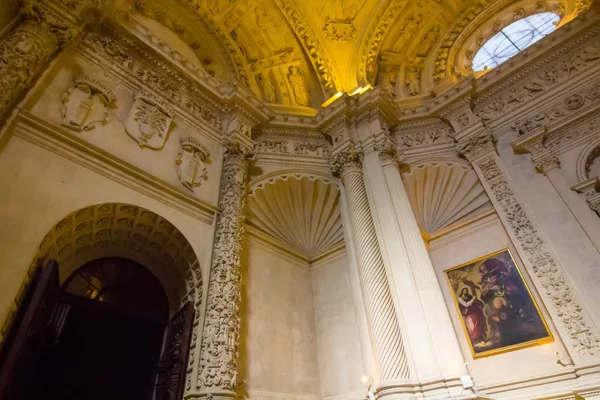 Detalhes da Catedral de Santa Maria em Sevilha Espanha — Fotografia de Stock