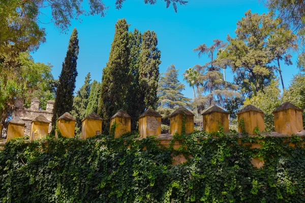 Catalina de Rivera trädgårdar i staden Sevilla, Spanien — Stockfoto