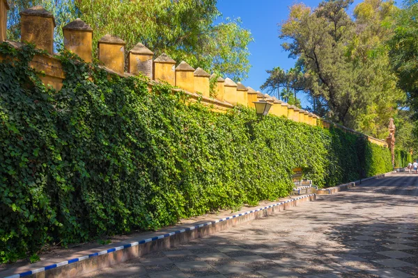 Catalina de Rivera trädgårdar i staden Sevilla, Spanien — Stockfoto