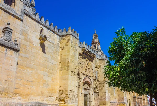 Sidan fasaden av den stora moskén i Cordoba, Spanien — Stockfoto