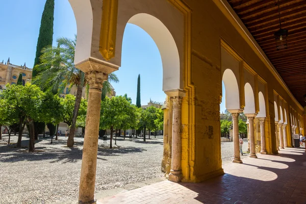 Inner courtyard with columns and arches of the famous mosque of — Stock Photo, Image