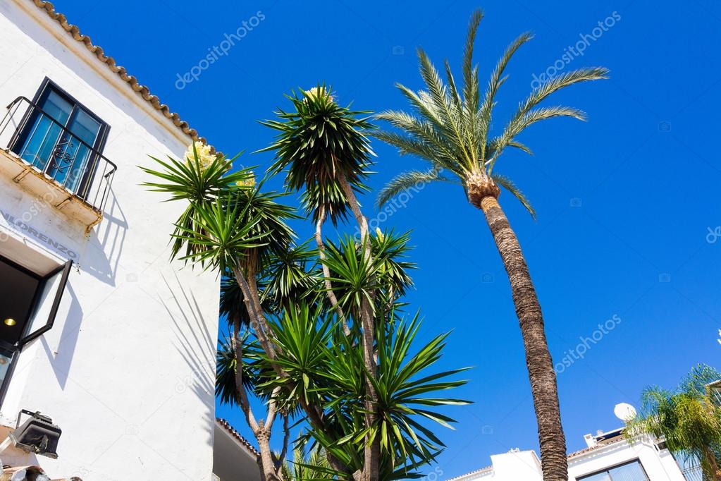 Pretty typical white houses Puerto Banus, Malaga spain