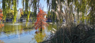 Sakin göl manzaralı açık bir günde hafif dalgalar etrafındaki kayaları ve çimenli kıyıları yansıtıyor.